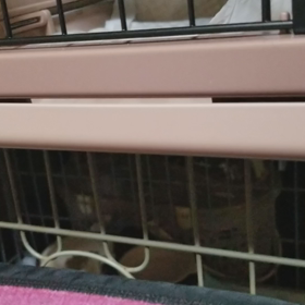 お行儀悪いよ？の画像