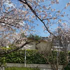 1週間が久しぶりの画像