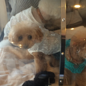 ⬛️7/26〜8/1＊酸素カプセルご利用のお友達⬛️2の画像