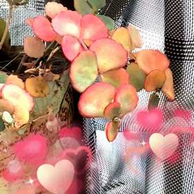 掃除終了の画像