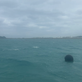 練習会ありがとうございました❗️の画像