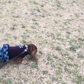 お山の公園での画像