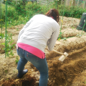 畑ガールズの画像