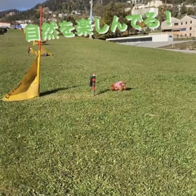 宇野樹君インスタストーリーより　自然を楽しんでる！　でも、寒いのは苦手の画像