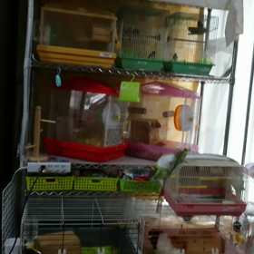 ぴーちゃんですょ～✨の画像