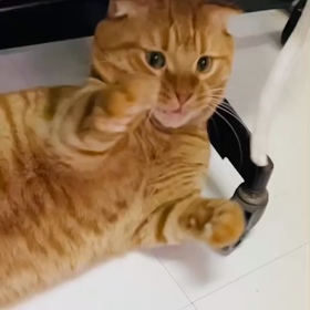 2021年もありがとうございましたの画像