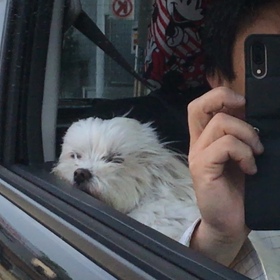 昨日の朝の画像