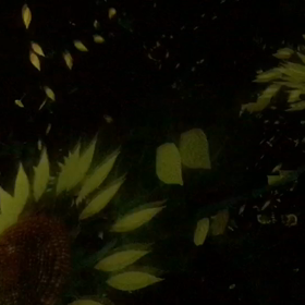 生きる＝沢山の味わい♥️の画像