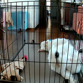 暖かくなってきましたねの画像