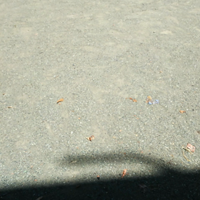 a10公園はの画像