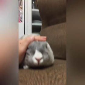 なでなでの画像