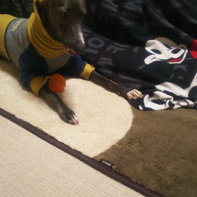 待ての練習中の画像