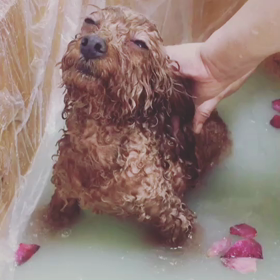 気持ちいい〜の画像