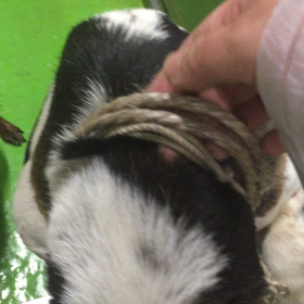 迷子動画です！の画像