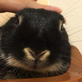 梅雨入り…頼むよたかまるの画像