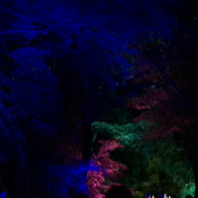 2018.8.19下鴨神社ライトアップの画像