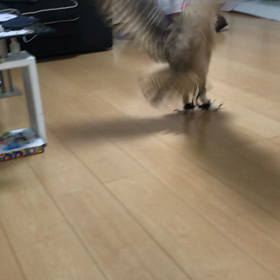 もうちょい❗️の画像