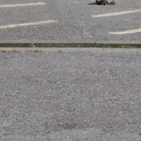 シリーズ☆事件は現場で起きているの画像