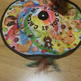 チビ黒さん I can catch.の画像