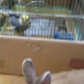 久々の廊下遊び✨の画像