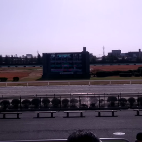 ハルメキの名古屋第4レースの画像