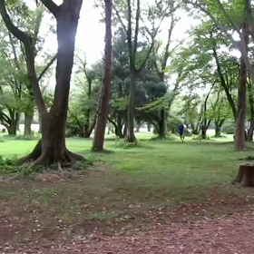 400インターバル 中間点④の画像