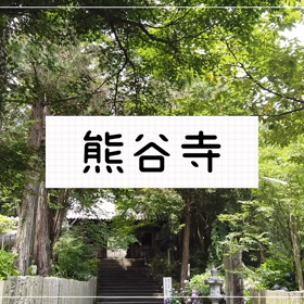 紫陽花咲く　熊谷寺の画像