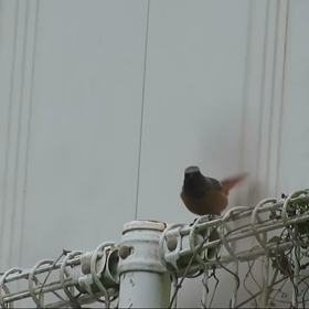 すぎぴたんの事件簿　シーズン２　７５話の画像