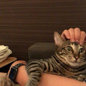 パパにイジられる  くぅ。の画像