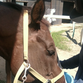 水を飲む時の画像