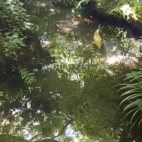 瑠璃光院の床緑③の画像