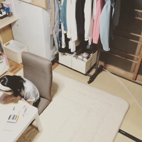 #3 早よ寝ろ娘の画像