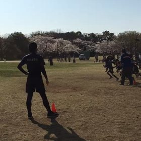 学年別インターバル(ゴール付近)③の画像