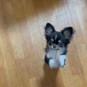 私の宝物❤️❤️の画像