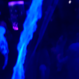 品川アクアパークの画像