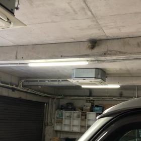 今日のつばめの画像