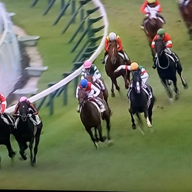 レッドソリッド新馬勝ち！！の画像