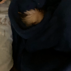 可愛い寝息の画像