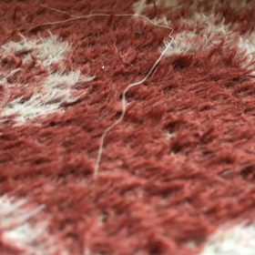 超常現象( ^ω^ )の画像