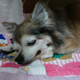 体重が……の画像