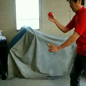 いい天気、いい季節なんだけどの画像