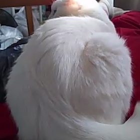 a8ヒロくんの画像