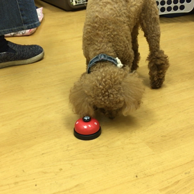 素晴らしいチ〜ン。の画像