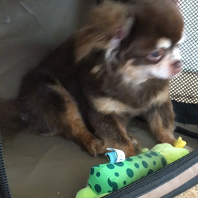 寝る前の儀式の画像