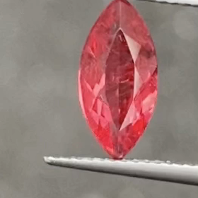 ロードナイト見付けた!!の画像