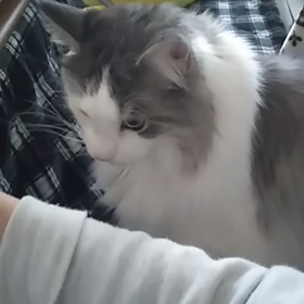 美味しそうに食べる(笑)の画像