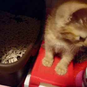 １日お疲れ様でした❗の画像