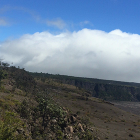 ハレマウマウの画像