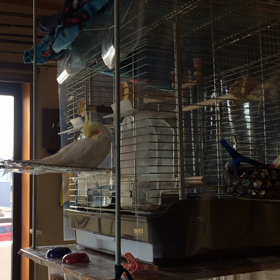 宙吊りですの画像