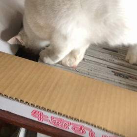 好きだねぇ〜の画像